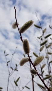 20180425_26.jpg