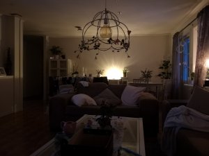 IMG_20180425_211340.jpg
