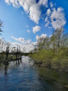 IMG_20180425_220051.jpg