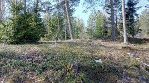 IMG_20180413_101603.jpg