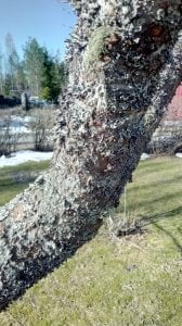 IMG_20180413_101514.jpg
