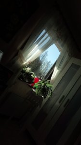 IMG_20180410_134319.jpg