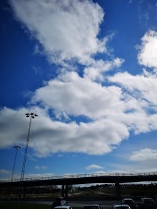 IMG_20180501_144521.jpg