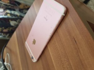 20180503_160359.jpeg