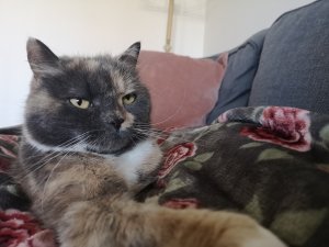 IMG_20180505_102816.jpg