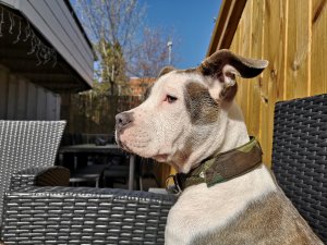 IMG_20180505_154223.jpg