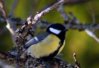 _3070937_cr.jpg