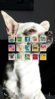 uploadfromtaptalk1368090213127.jpg