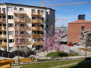 IMG_20180506_143112.jpg