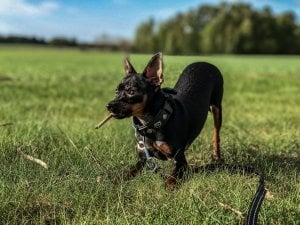998A389D-C5E0-4A07-8BEF-F76F11C857F6.jpeg