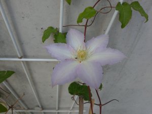 P_20180517_190942_vHDR_Auto.jpg