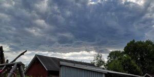 IMG_20180522_181127.jpg