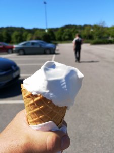 IMG_20180523_134118.jpg