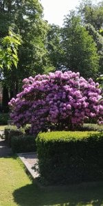 IMG_20180524_112555.jpg