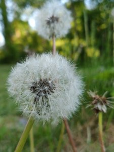 IMG_20180524_195857.jpg