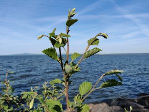 IMG_20180525_173140.jpg