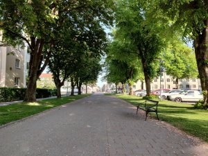 IMG_20180525_180655.jpg