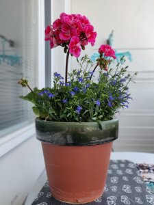 IMG_20180526_111332_Bokeh.jpg