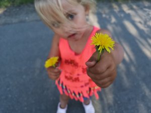 IMG_20180524_172625.jpg