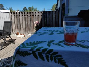 IMG_20180528_132352.jpg