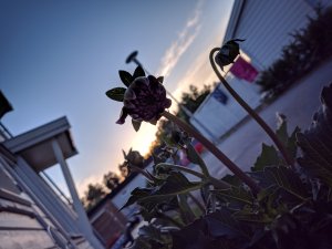 IMG_20180601_210652.jpg