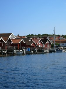 IMG_20180601_164535.jpg