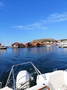 IMG_20180601_164108.jpg