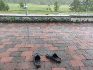 IMG_20180603_181420.jpg
