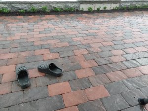 IMG_20180603_181425.jpg