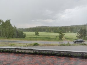 IMG_20180603_181727.jpg
