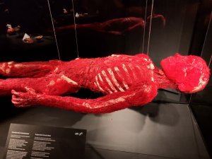 IMG_20180603_134849.jpg
