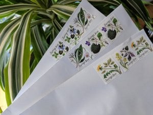 IMG_20180604_112041.jpg