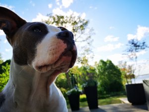 IMG_20180604_182221_1.jpg