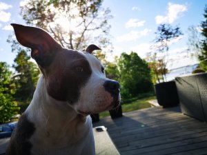 IMG_20180604_182211.jpg