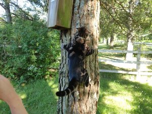 IMG_20180602_172422.jpg