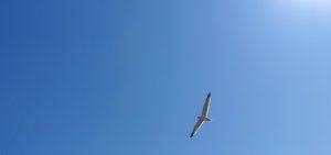 IMG_20180603_142527.jpg