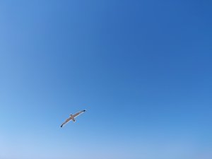 IMG_20180603_142834.jpg