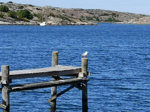 IMG_20180612_103957.jpg