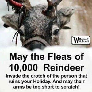 FB_IMG_1528983079151.jpg