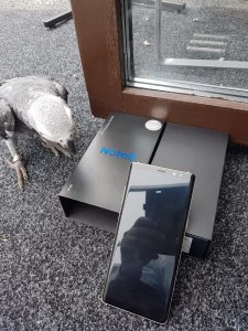 IMG-20180617-WA0000.jpg