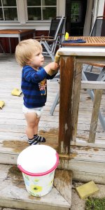 IMG_20180617_152030.jpg