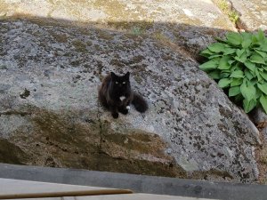IMG_20180620_112220.jpg