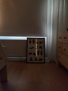 IMG_20180620_203316.jpg