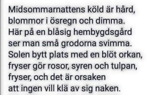 Midsommarens....jpg