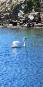 IMG_20180625_114542.jpg