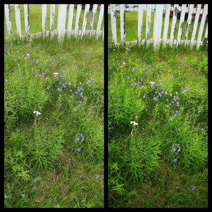 IMG_2018-07-04_13-56-28.JPG