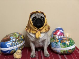 IMG_0137.jpg