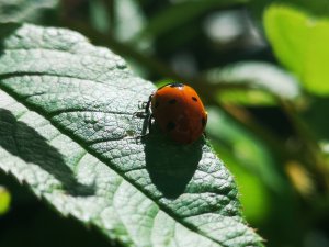 IMG_20180708_123456.jpg