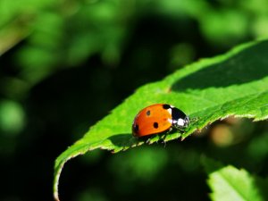 IMG_20180708_123320.jpg