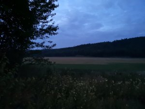 IMG_20180706_232307.jpg